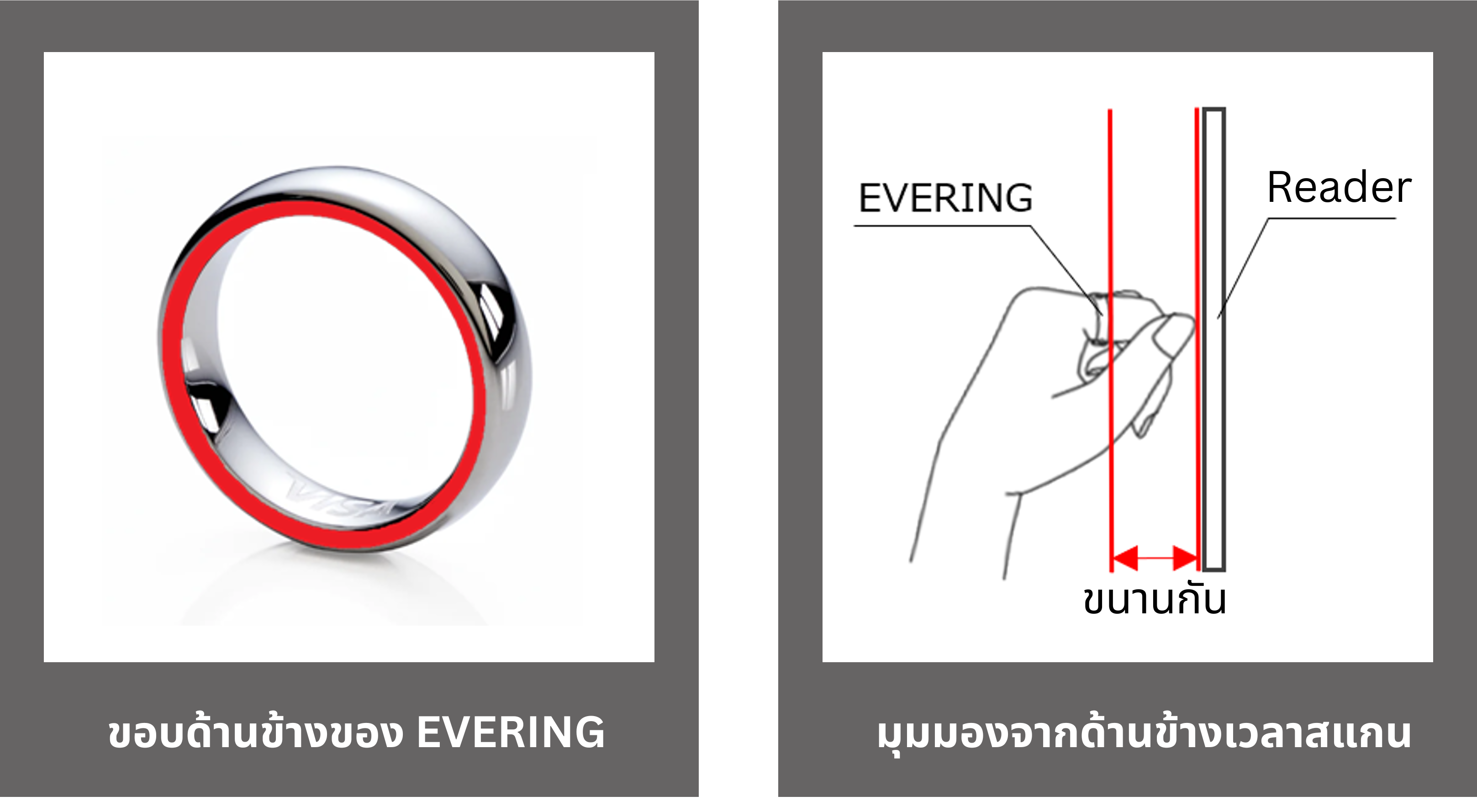 ขอบด้านข้างของ EVERING.png
